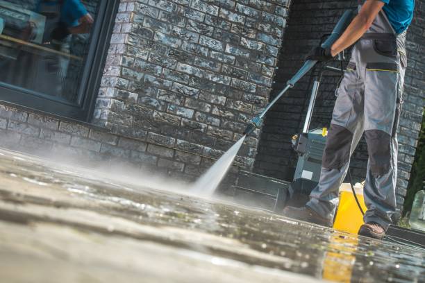 Best House Exterior Washing  in Hinckley, IL