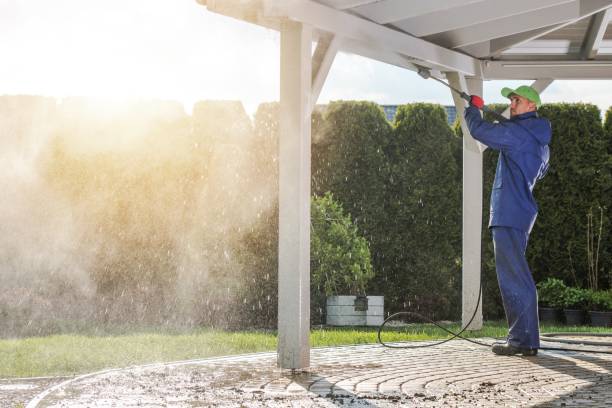 Best Boat and Dock Cleaning  in Hinckley, IL